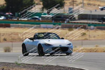 media/Mar-08-2025-Extreme Speed (Sat) [[4abb97269e]]/Blue/Turns 2  and  4 (Session 2)/